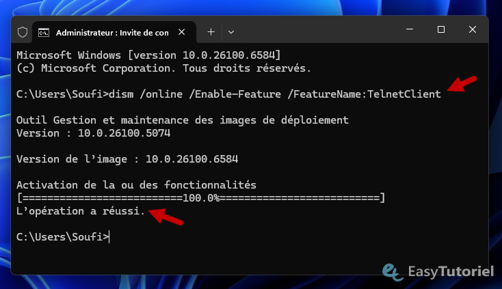 cmd dism enable feature featurename telnetclient