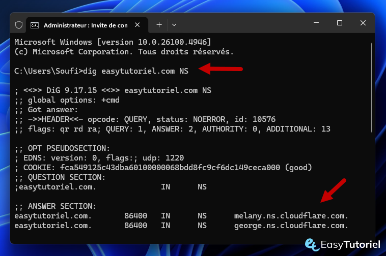 dig commande ns easytutoriel