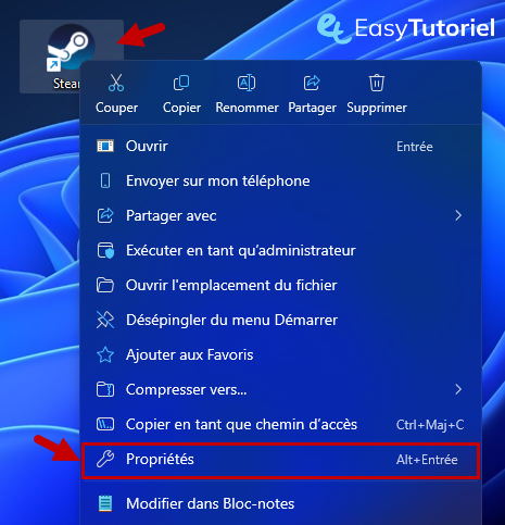 proprietes steam