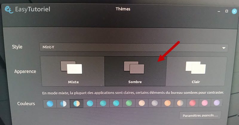 theme sombre linux mint