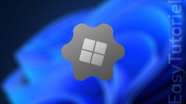 wintoys windows 11 vie privee boost