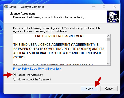 installation camomile windows