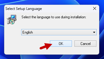 setup language camomile