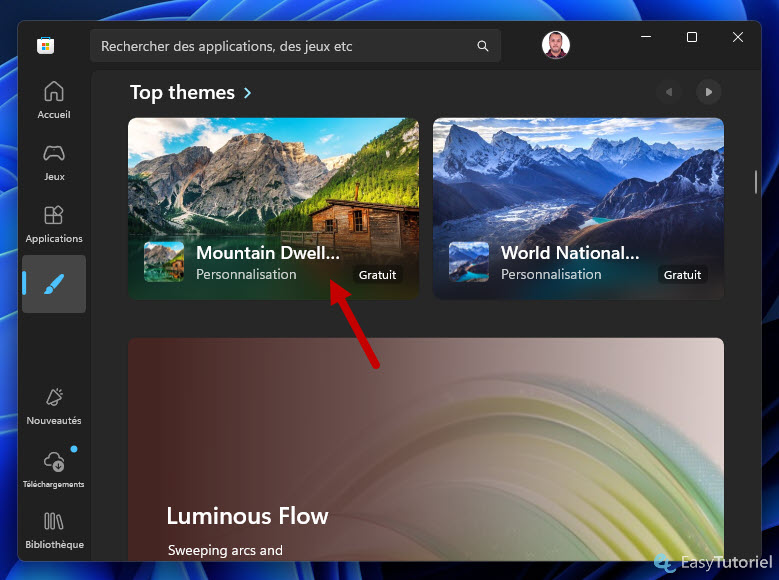 top themes windows 11