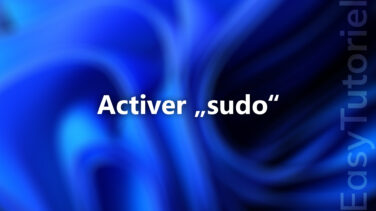activer sudo sur windows 11