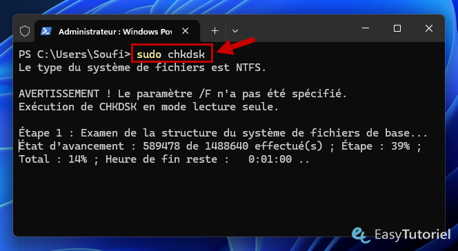 sudo chkdsk