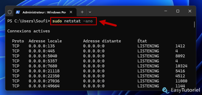 sudo netstat ano