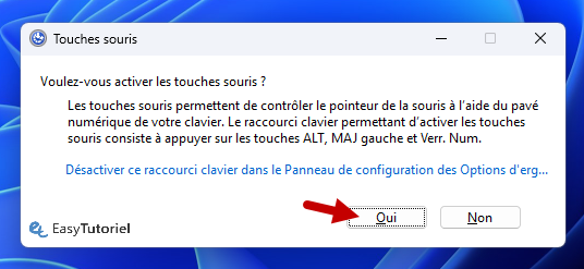 activer les touches souris oui