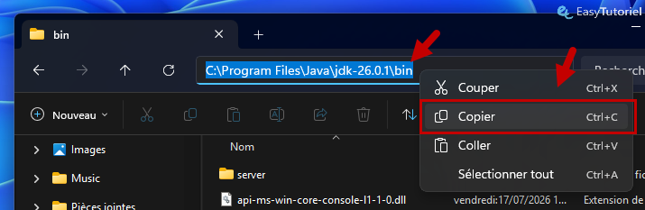 copier chemin java bin