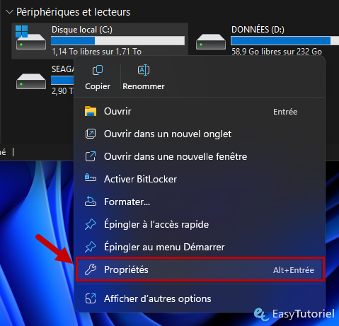 disque local c proprietes