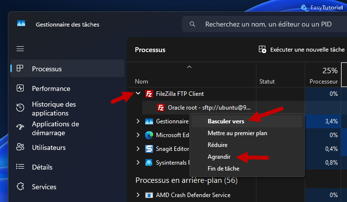 gestionnaire des taches agrandir basculer vers