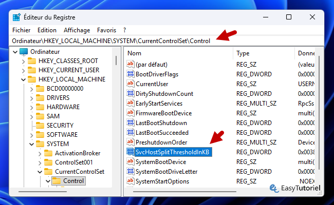 hkey local machine control svchost registre