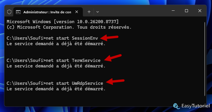 net start sessionenv termservice umrdpservice