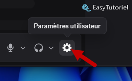 parametres discord