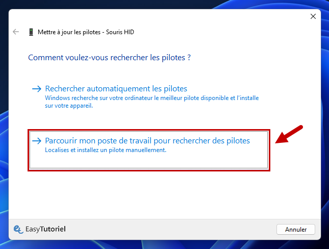 parcourir mon poste de travail pour rechercher des pilotes