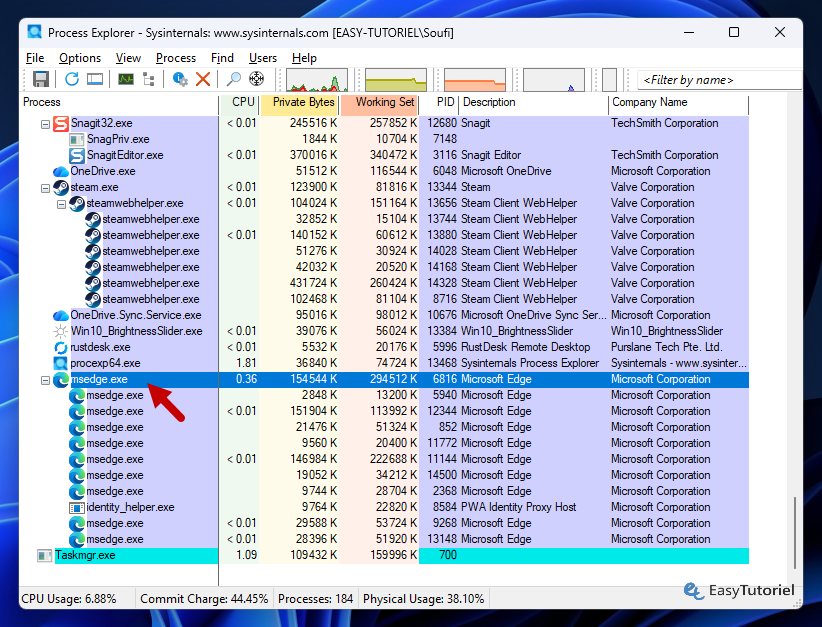 process explorer msedge