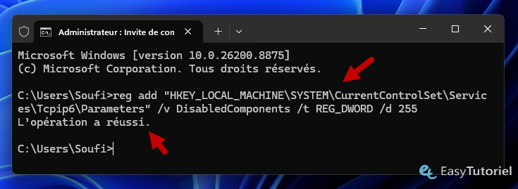 reg add disable ipv6