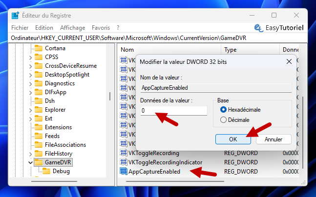 registre gamedvr appcaptureenabled 0