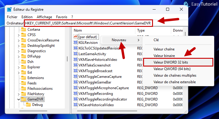 registre nouveau gamedvr dword value