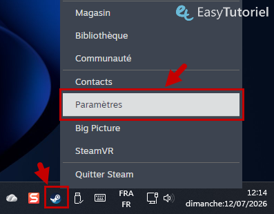 steam parametres