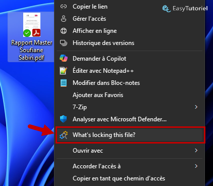 whats locking this file lockhunter windows