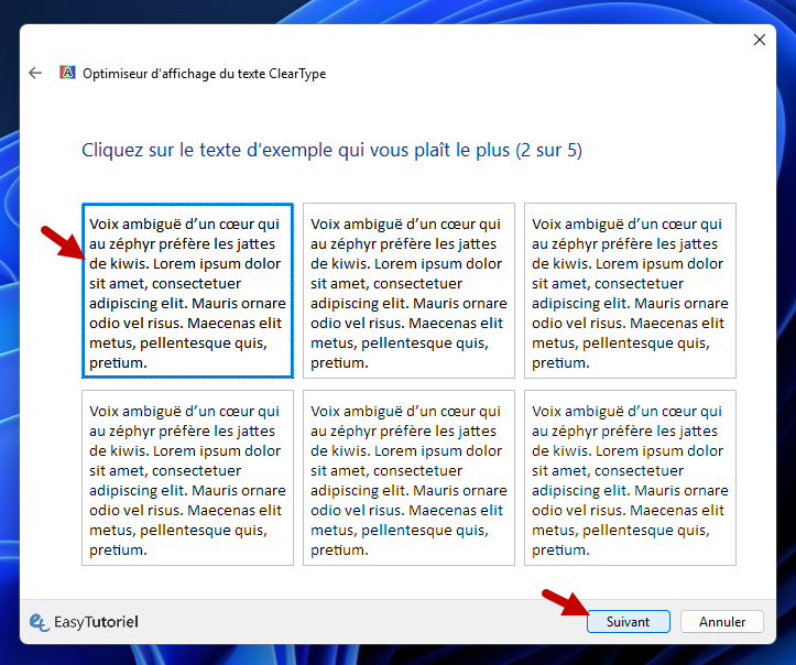 cliquez sur le texte d exemple qui vous plait 2