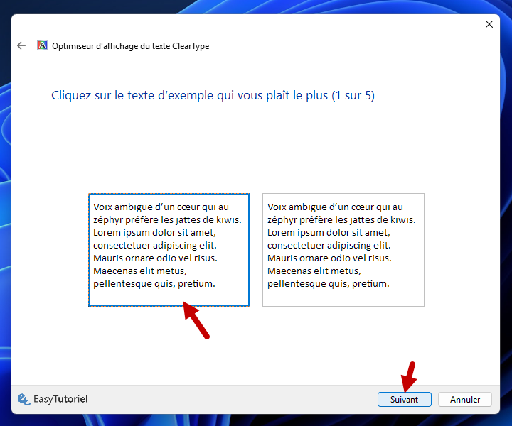 cliquez sur le texte d exemple qui vous plait