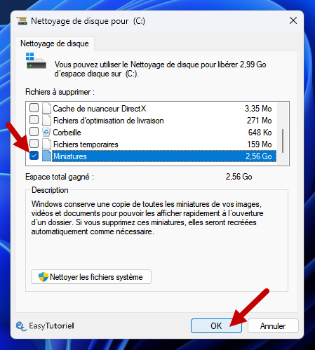 nettoyage de disque pour c miniatures
